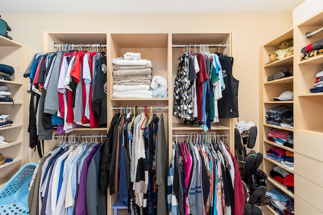 view of walk in closet