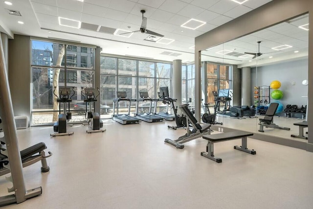 exercise room with expansive windows, a paneled ceiling, visible vents, and ceiling fan