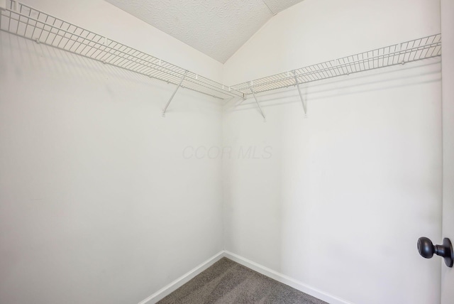 walk in closet with lofted ceiling and carpet