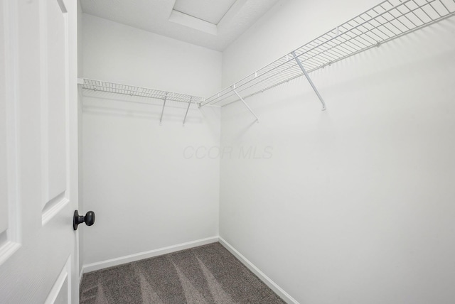 spacious closet featuring attic access and dark carpet