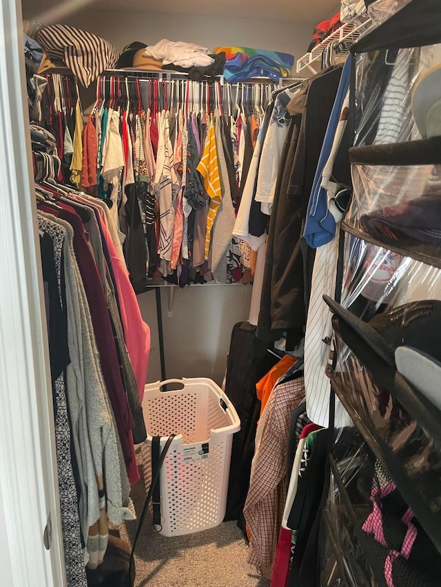 spacious closet featuring carpet flooring