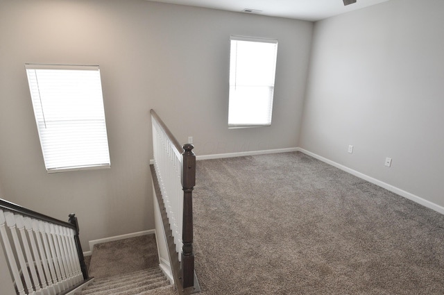 4835 Amber Crossing Dr, Columbus, OH 43232 - staircase with baseboards, visible vents, and carpet flooring