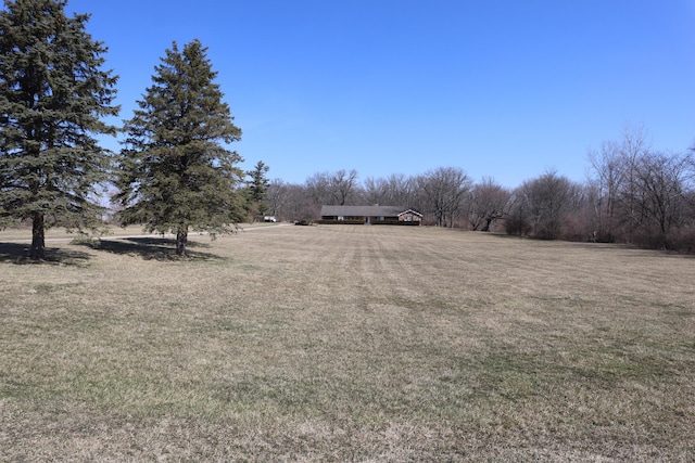 view of yard featuring a rural view