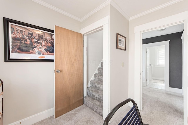 stairway with carpet flooring, baseboards, and ornamental molding