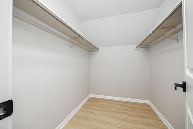 spacious closet with light wood-style floors