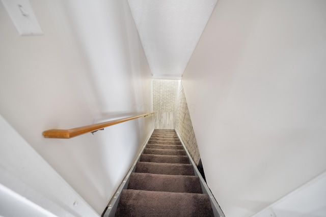 stairway featuring carpet flooring