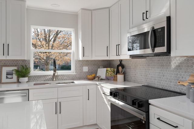 kitchen with a sink, stainless steel appliances, and white cabinetry