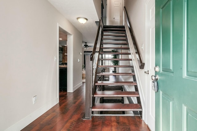 stairs featuring a ceiling fan, baseboards, and wood finished floors