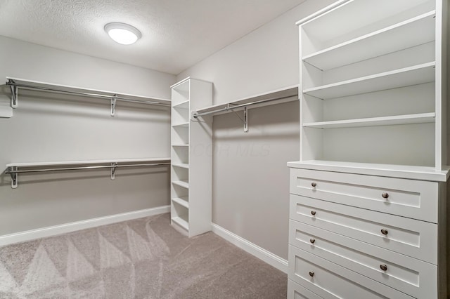 walk in closet featuring carpet flooring