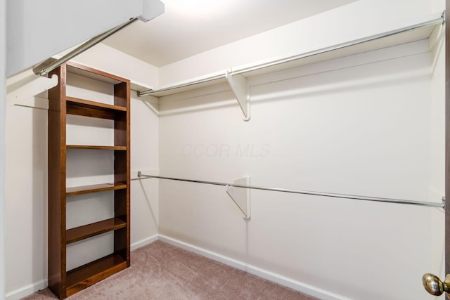 walk in closet featuring carpet