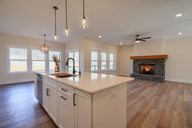 kitchen featuring a sink, light wood-type flooring, plenty of natural light, and stainless steel dishwasher