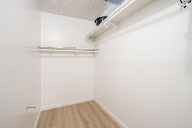 spacious closet featuring light wood-type flooring