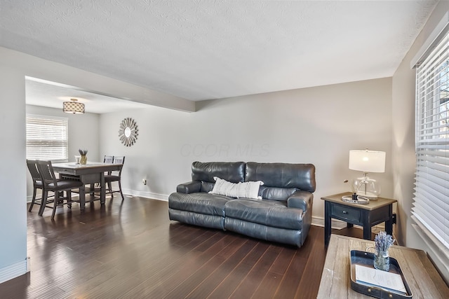 living area featuring wood finished floors, baseboards, and a textured ceiling