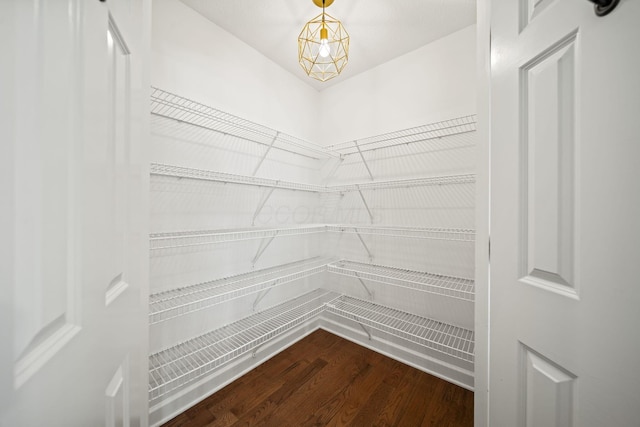 interior space with dark wood-style floors