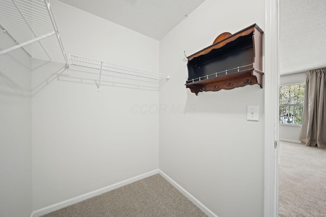 spacious closet with carpet flooring