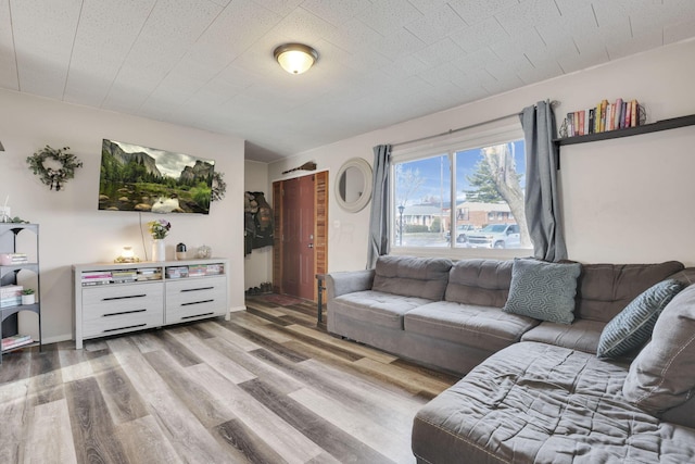 living room with wood finished floors