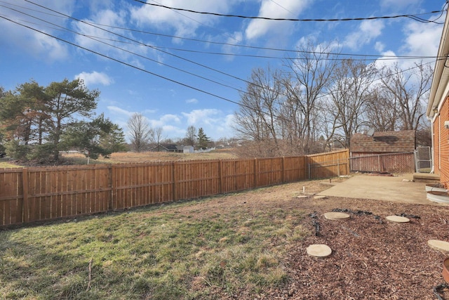 view of yard featuring a patio and a fenced backyard