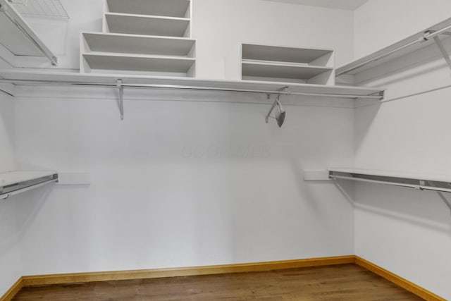 spacious closet with wood finished floors