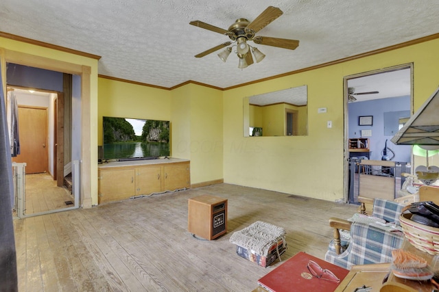 living area with wood-type flooring, a textured ceiling, and ceiling fan