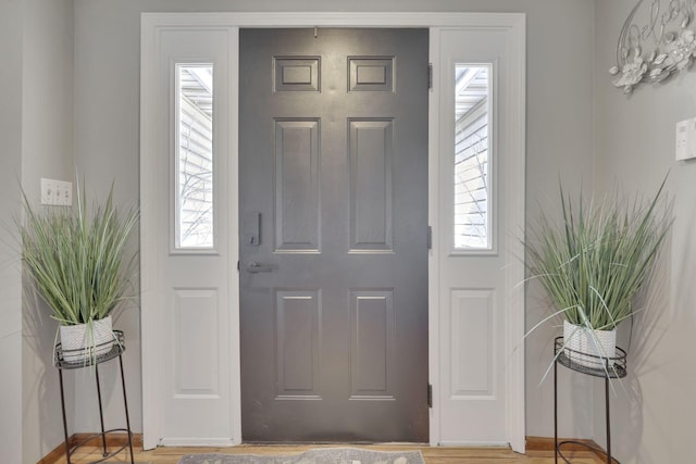 entryway featuring plenty of natural light