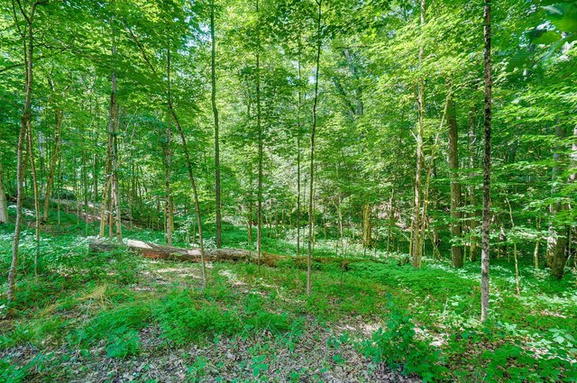 view of landscape featuring a wooded view