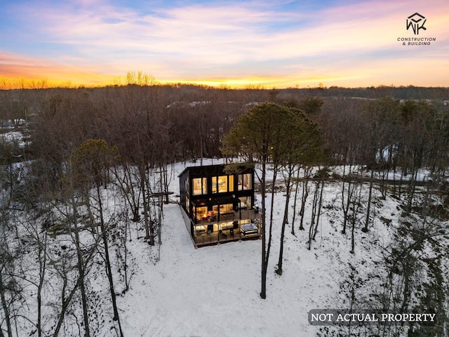 bird's eye view with a view of trees