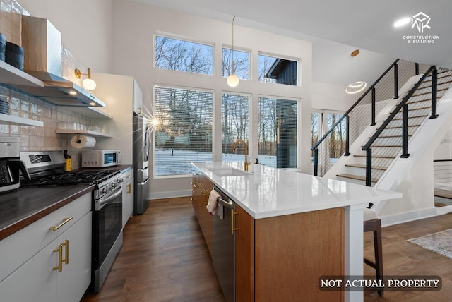 kitchen with dark wood finished floors, wall chimney exhaust hood, plenty of natural light, and stainless steel appliances