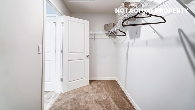 spacious closet featuring carpet flooring