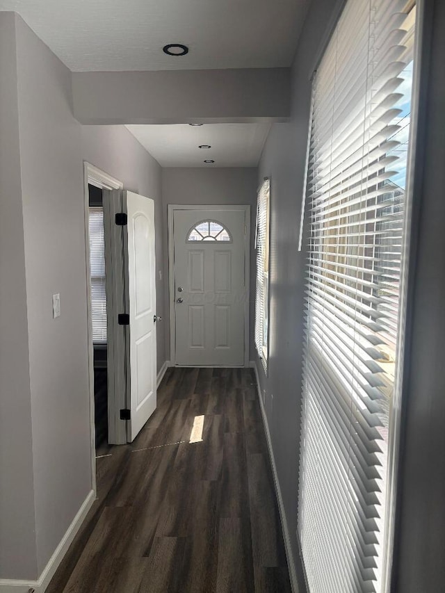 doorway to outside featuring dark wood finished floors, a healthy amount of sunlight, and baseboards