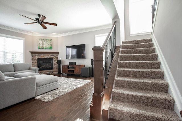 living area featuring stairs, a ceiling fan, ornamental molding, and dark wood-style flooring