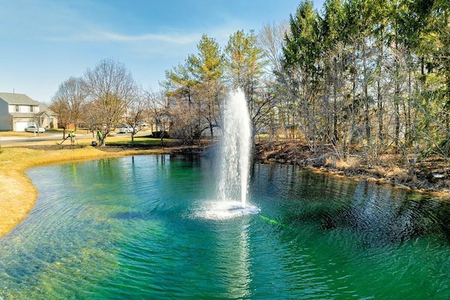 view of water feature