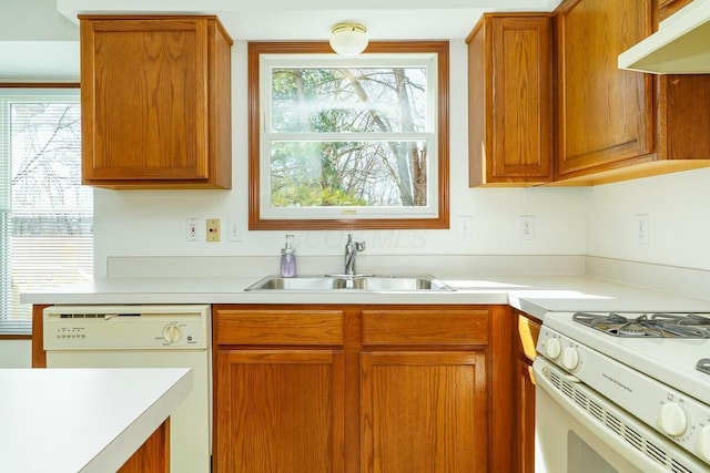 kitchen featuring under cabinet range hood, light countertops, brown cabinets, white appliances, and a sink