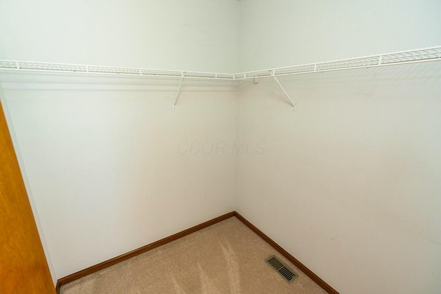 spacious closet featuring light colored carpet and visible vents