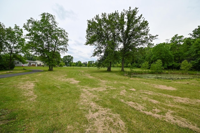 1025 Edison Ave, Marion, OH 43302 - view of yard