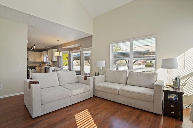 living area featuring dark wood-type flooring, baseboards, and high vaulted ceiling