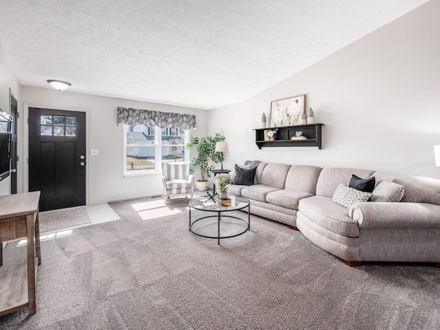 living room featuring carpet flooring and a textured ceiling