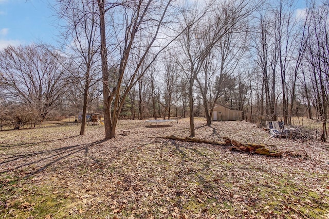 view of yard featuring an outdoor structure