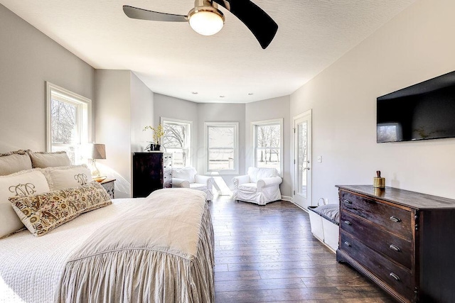 bedroom featuring multiple windows, a textured ceiling, ceiling fan, and dark wood-style flooring