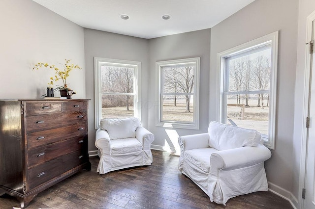 living area featuring baseboards and dark wood-style flooring