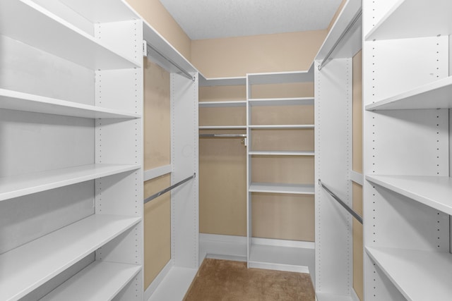 spacious closet with carpet