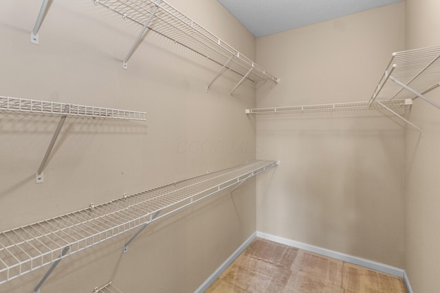 walk in closet featuring light colored carpet