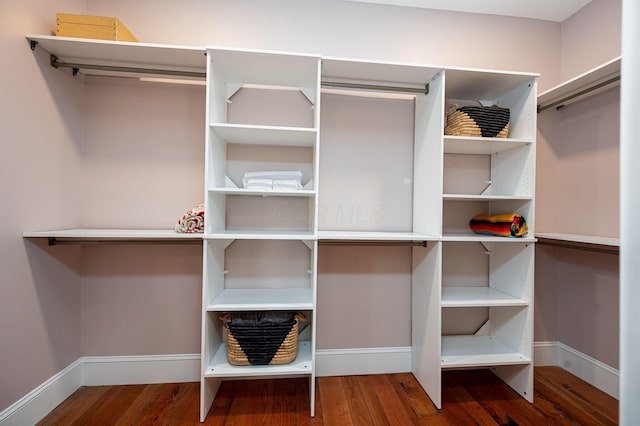 walk in closet with wood finished floors