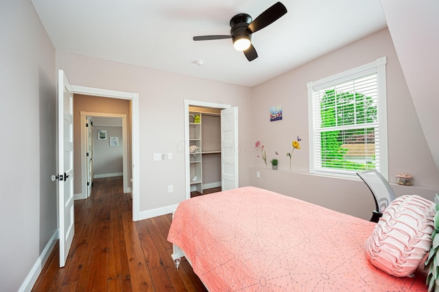 bedroom featuring hardwood / wood-style floors, a ceiling fan, baseboards, a spacious closet, and a closet