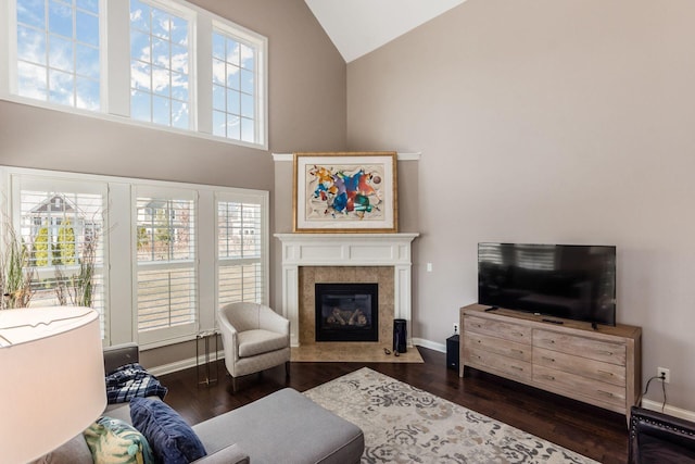 living area featuring baseboards, high vaulted ceiling, wood finished floors, and a fireplace