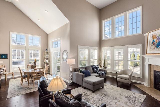 living area featuring a premium fireplace, baseboards, dark wood-type flooring, and high vaulted ceiling