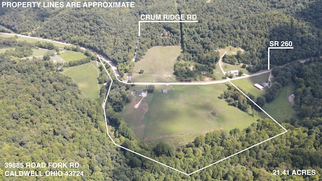 birds eye view of property featuring a forest view