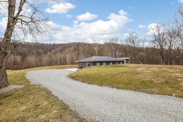 view of road with a forest view and driveway