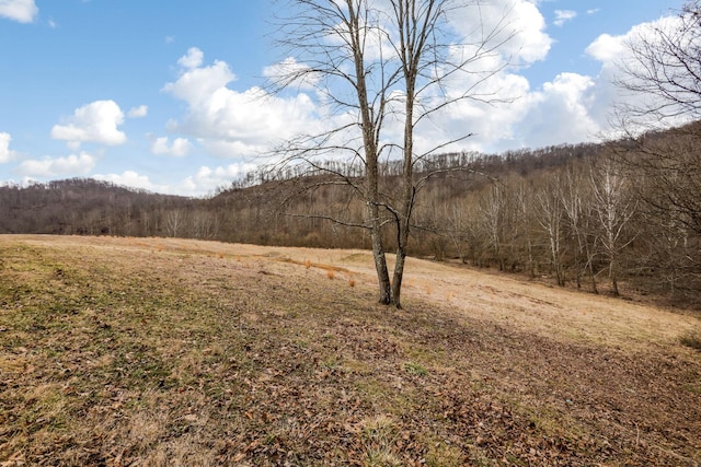 view of yard with a wooded view