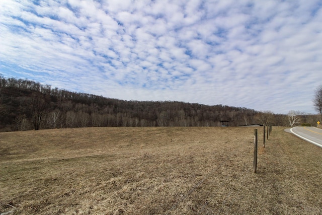 view of yard featuring a forest view