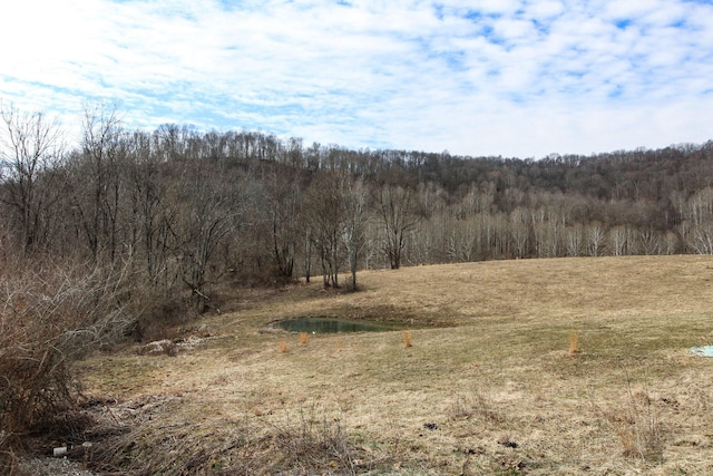 view of nature with a view of trees